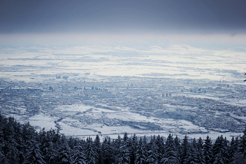 Depuis Sofia : Randonnée en raquettes sur le mont Vitosha