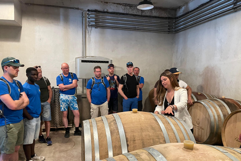 Nizza: Tour in bicicletta dei vigneti Bellet con degustazione di vini