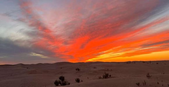 2-Day Sahara Escape: Ksar Ghilane Oasis & Desert Camp