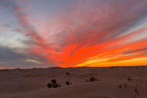 2-Day Sahara Escape: Ksar Ghilane Oasis & Desert Camp 2-Day Sahara Escape: from Mahdia