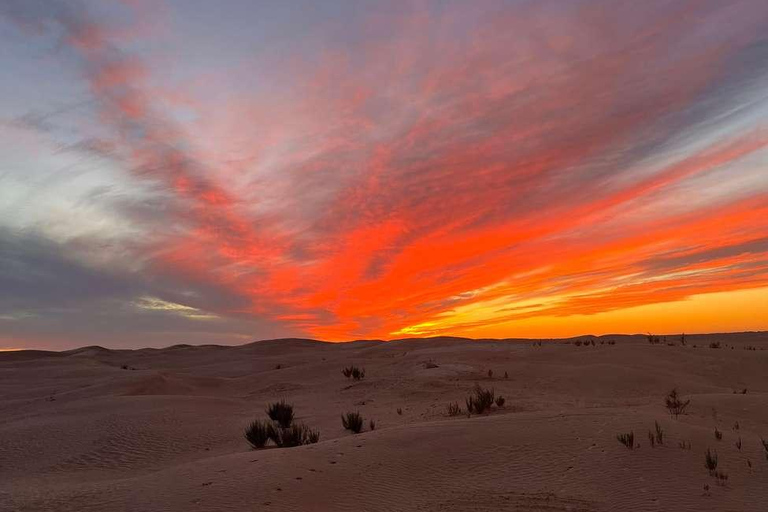 2-Day Sahara Escape: Ksar Ghilane Oasis & Desert Camp 2-Day Sahara Escape: from Mahdia