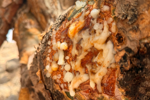 Discover West Salalah: Full-Day Tour by Safari Salalah Tours