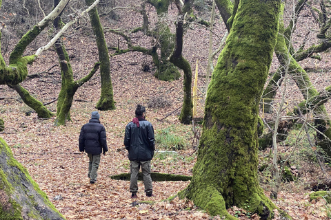 Athens: Kalavrita UNESCO Global Geopark & Pounta Beach Swim