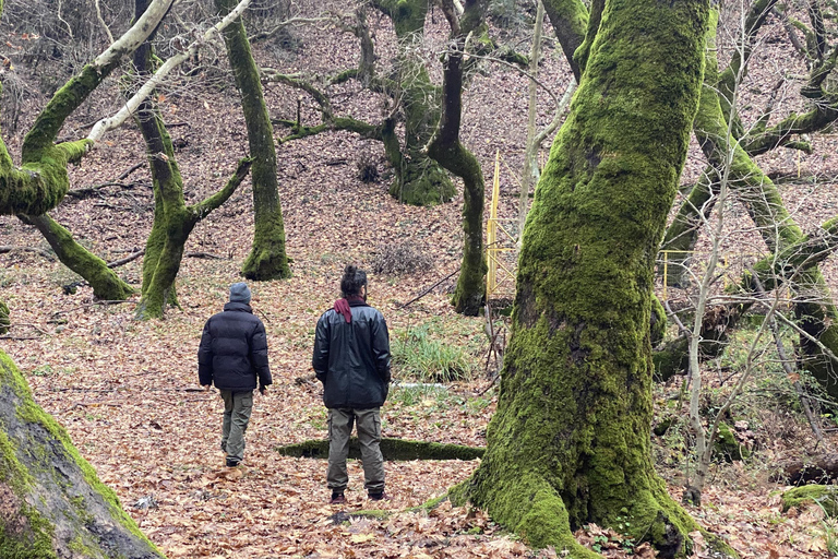 Athens: Kalavrita UNESCO Global Geopark & Pounta Beach Swim