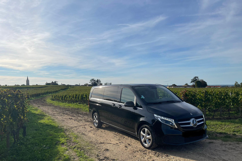From Bordeaux Half-Day in Saint-Emilion or Arcachon in a Private Van Saint-Emilion Tour