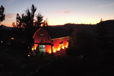 Valparaíso Seguro + Country Tour in Casablanca Pitama Valparaíso Seguro + Countryside Tour in Casablanca Pitama