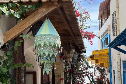 From Tunis: Sousse Guided Tour with Hotel Pickup Sousse half-day tour : from Monastir/Sousse : private group