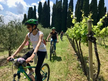 Salò: E-Bike-Tour mit Weinverkostung auf den Valtenesi-Hügeln