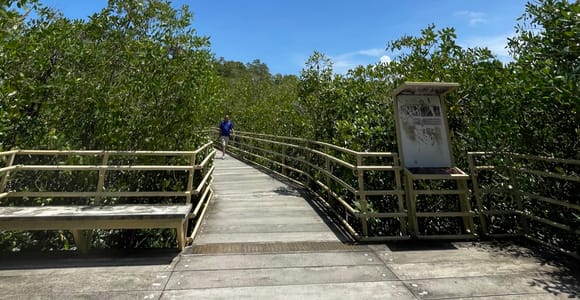 Manuel Antonio National Park: Wildlife-Watching Hike
