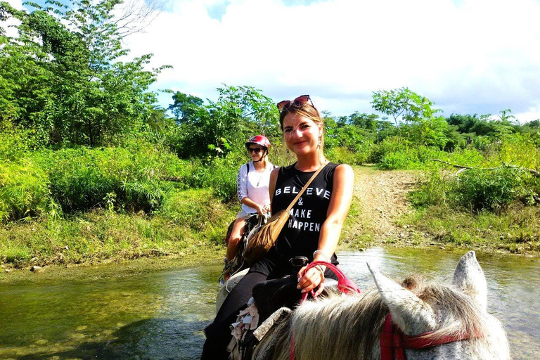 From Puerto Plata: Horseback ride along the mountain river