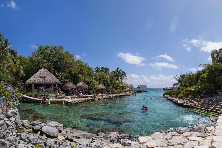 Dalla Riviera Maya: Xcaret Park All Inclusive
