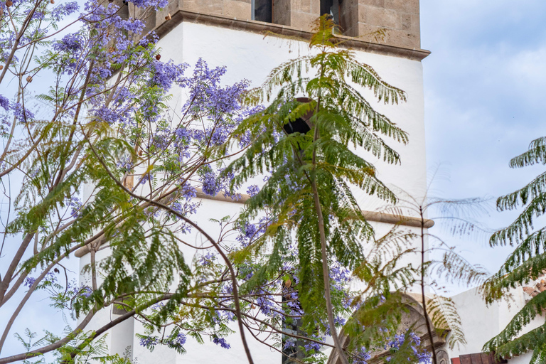 Balades Découverte Teide - La Orotava - Icod de los Vinos