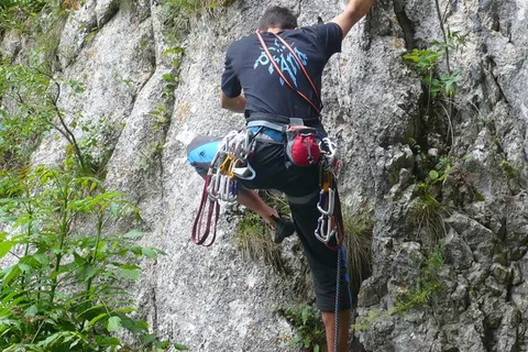 BV05-Tour privato e osservazione degli orsi: Piatra Craiului
