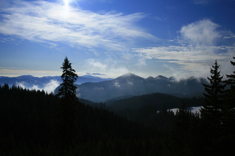 BV05-Private Hiking Tour and Bear Watching: Piatra Craiului
