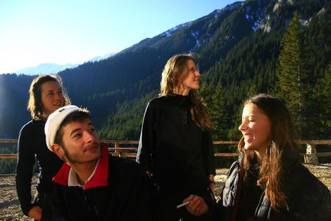 BV05-Private Hiking Tour and Bear Watching: Piatra Craiului