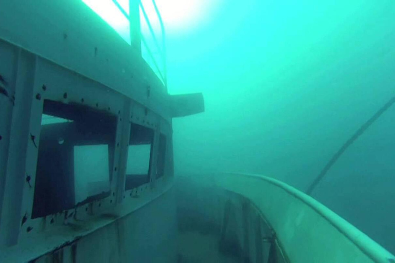 Doppio tuffo al parco Ocean Revival