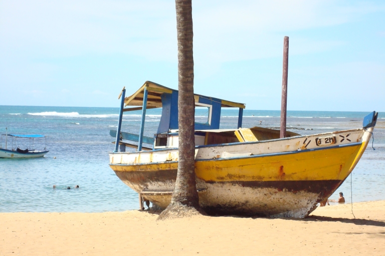 Ab Salvador: Strand-Tagestour Praia Do Forte und Guarajuba