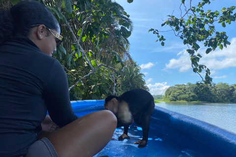 Canale di Panama: tour privato in barca e con la fauna selvatica sul lago Gatun