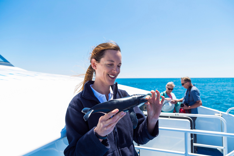 Perth: cruise om walvissen te spotten vanuit de haven van HillarysWalvisspotcruise van 2 uur met hoteltransfer