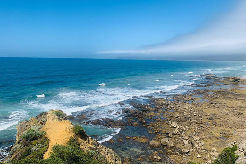 Melbourne: Great Ocean Road Reverse Tour with 12 Apostles Central Melbourne Meeting Point