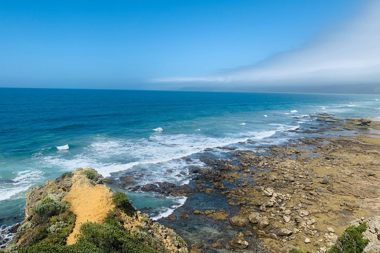 Melbourne: Great Ocean Road Reverse Tour with 12 Apostles Central Melbourne Meeting Point