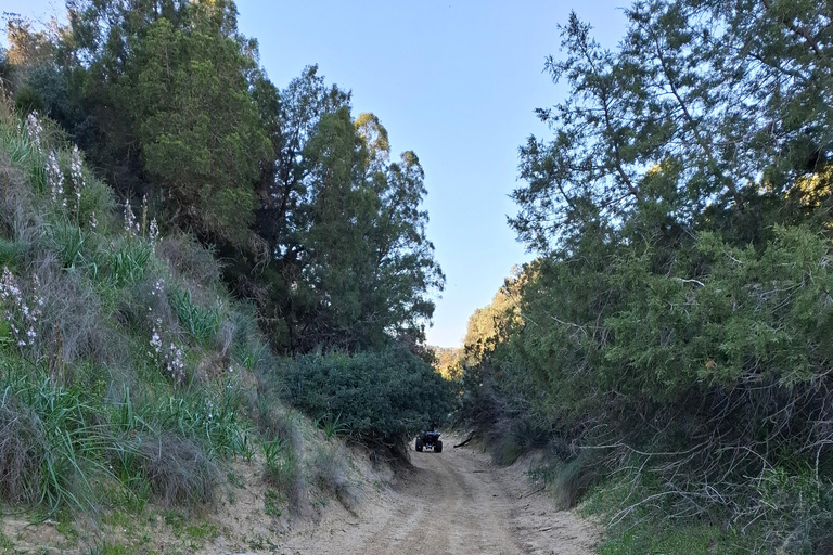 Hammamet: Guided quad tour through the Hammamet hinterland - quad riding Hammamet: Quad riding / Quad tour through the Hammamet hinterland