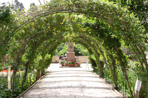 Malta: Valletta, Mdina, 3 Cities & Gozo 4-Day Guided Tour Tues (Mdina), Wed (Valletta), Thurs (Gozo) & Sat (3 Cities)