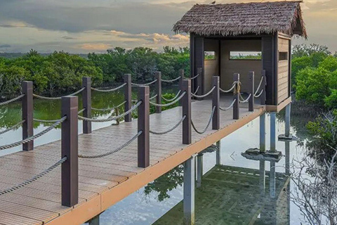 Von Doha aus: Führung durch den Norden Katars