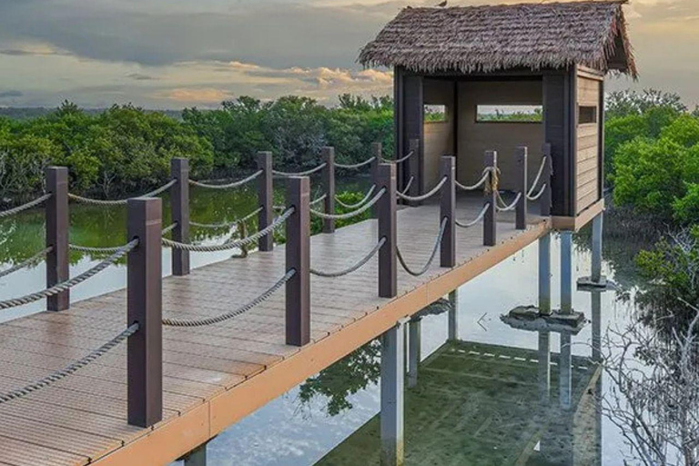 Von Doha aus: Führung durch den Norden Katars