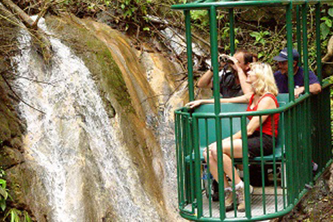 Playa de Jaco: Teleférico del Pacífico en Rainforest AdventuresPlaya de Jaco: teleférico en Rainforest Adventures