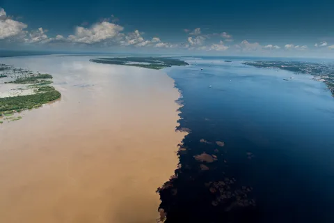 Manaus: Meeting of the Waters & Pink Dolphin Tour with Lunch
