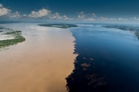 Manaus, Meeting of the Waters & Pink Dolphin Tour with Lunch - Housity