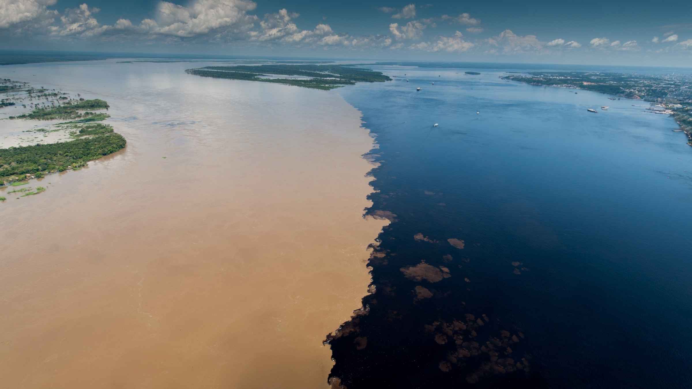 Manaus: Encontro das Águas & Passeio de Golfinho Rosa com Almoço