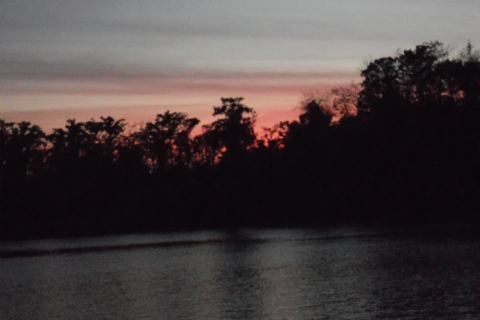 Amazonas Dschungel Tour & Alligatoren Nachtwache ab Manaus