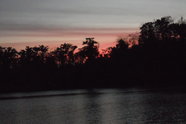 Amazon Jungle Tour & Alligators Night Watch from Manaus