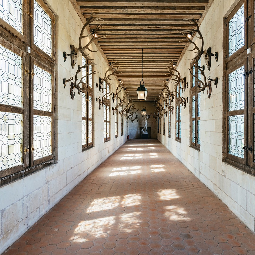 Galerie média