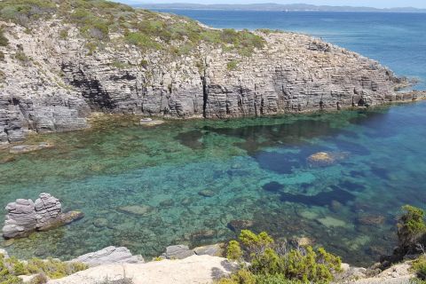 Sardinia: San Pietro Island and Carloforte Tour