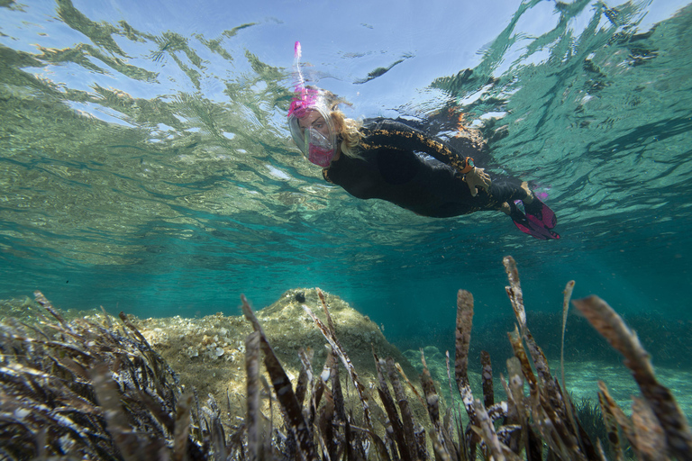 Genoa: snorkeling a stone's throw from downtown