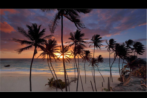 Sweet Life Island Tours