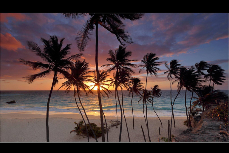 Sweet Life Island Tours