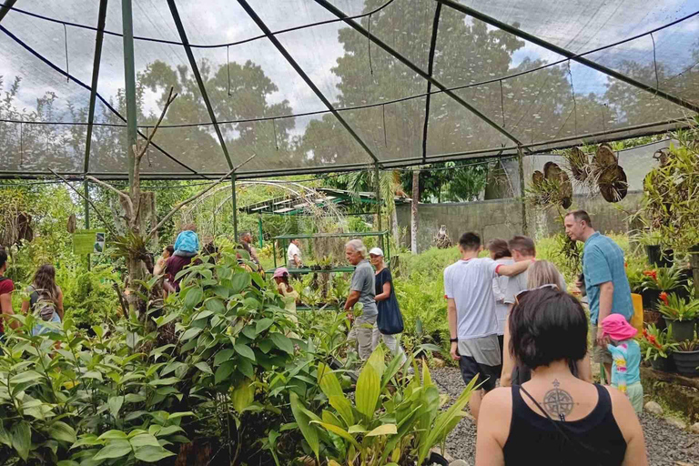 Panamá: Excursión a la Isla de los Monos, el Santuario de los Perezosos y el Lago Gatún