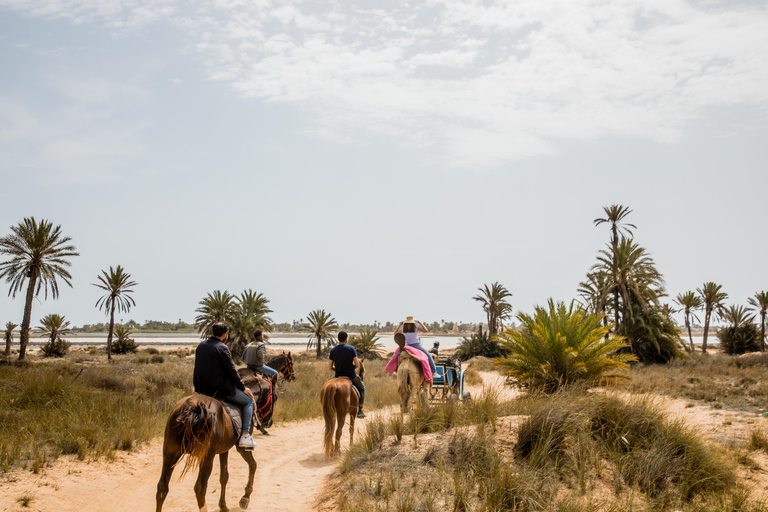 Blaue Lagune 2H Kutschfahrt in DjerbaTraditionelle Pferdekutschenfahrt in Djerba