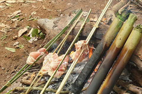 Cours de survie dans la forêt primaire près de Luang Prabang.