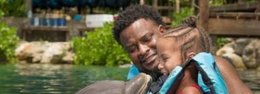 Aventure de nage avec les dauphins