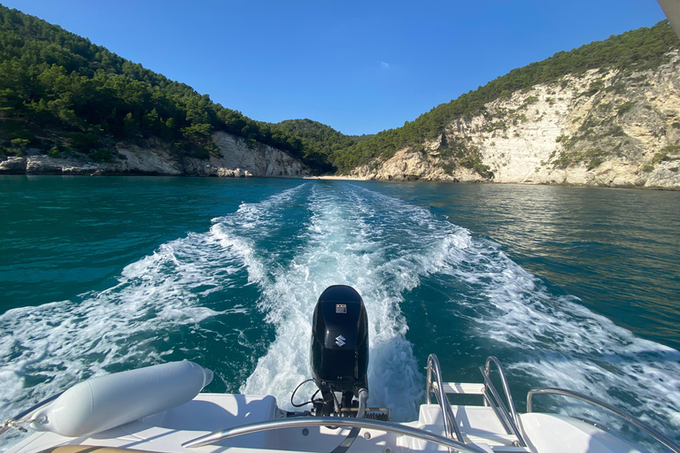 Vieste: Boat tour of the Gargano coast