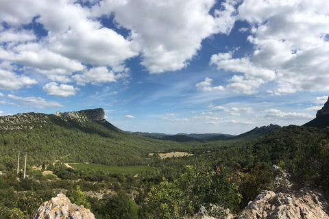 Pic Saint-Loup: Dagsutflykt med vin och oliver