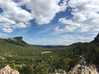 Pic Saint-Loup : Visite d'une jounée sur le thème du vin et de l'olive