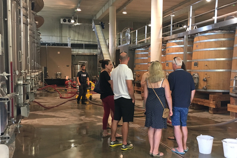 Pic Saint-Loup: Tour de un día completo del vino y la aceituna