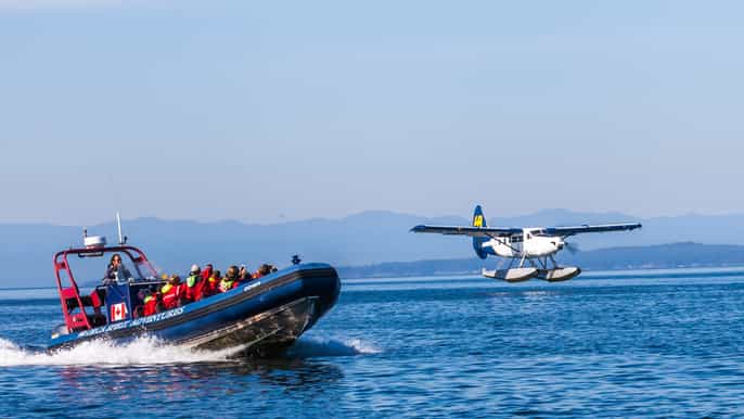 desde vancouver victoria whale watching aventura
