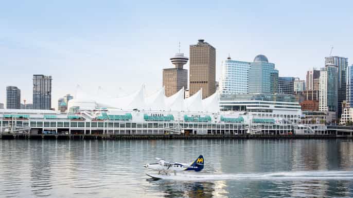 from vancouver victoria whale watching adventure